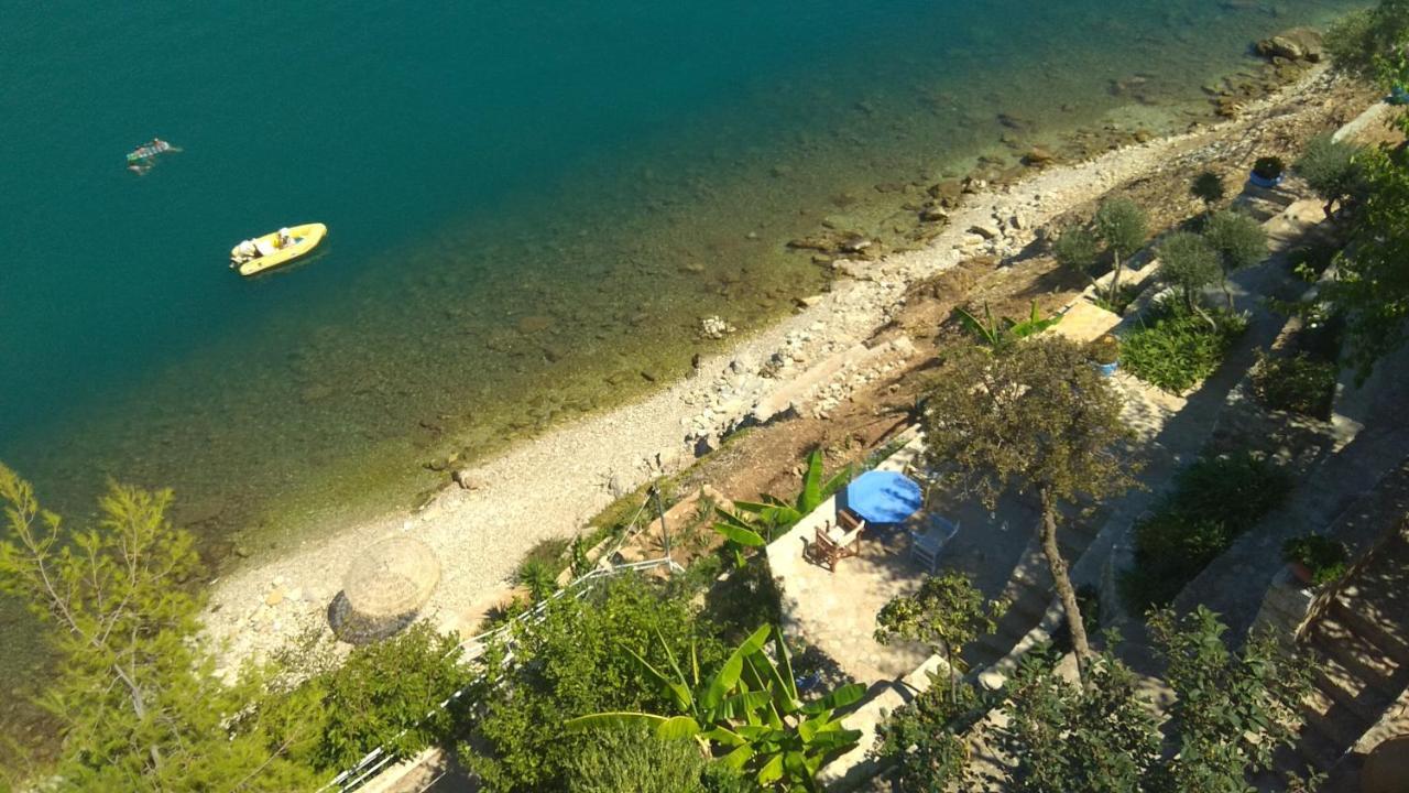 Linamare Eolos كيفيريون المظهر الخارجي الصورة