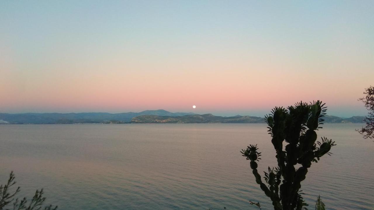 Linamare Eolos كيفيريون المظهر الخارجي الصورة