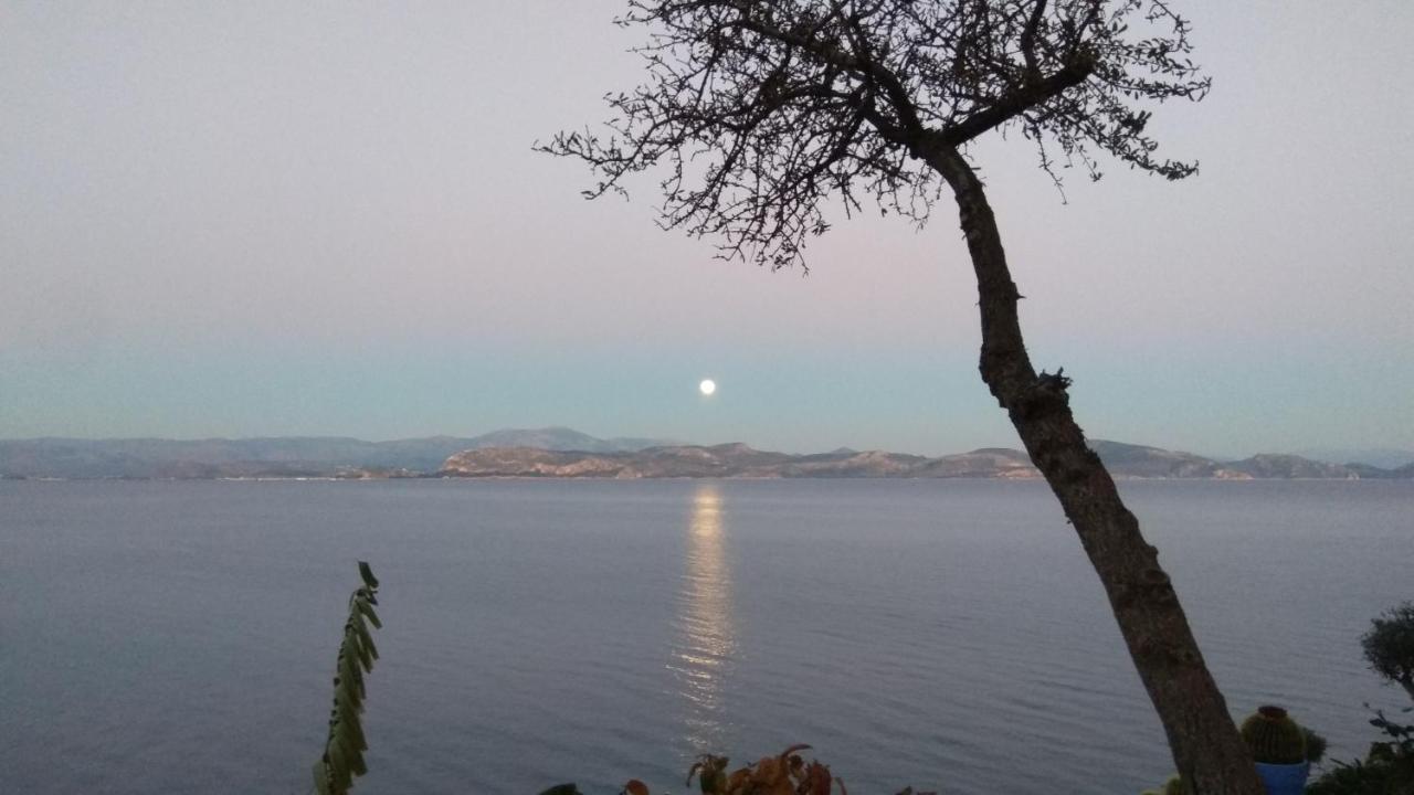 Linamare Eolos كيفيريون المظهر الخارجي الصورة