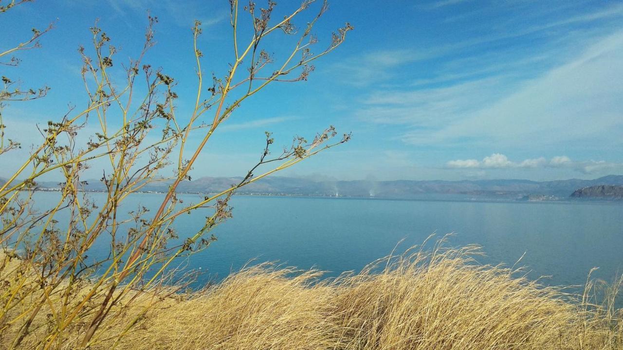 Linamare Eolos كيفيريون المظهر الخارجي الصورة