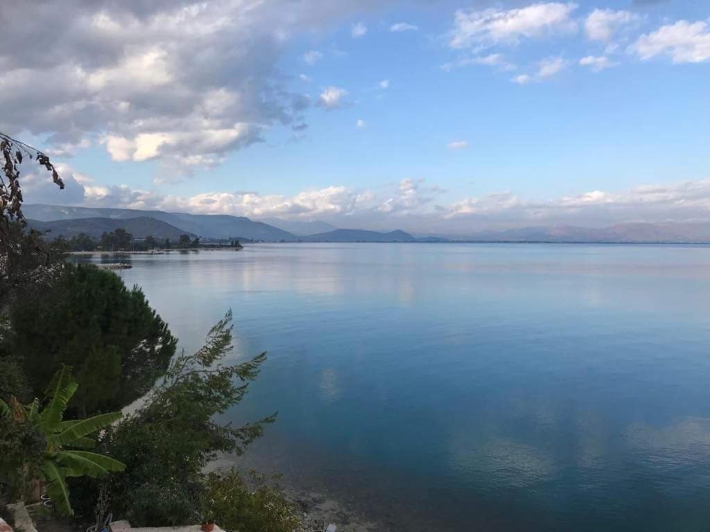 Linamare Eolos كيفيريون المظهر الخارجي الصورة