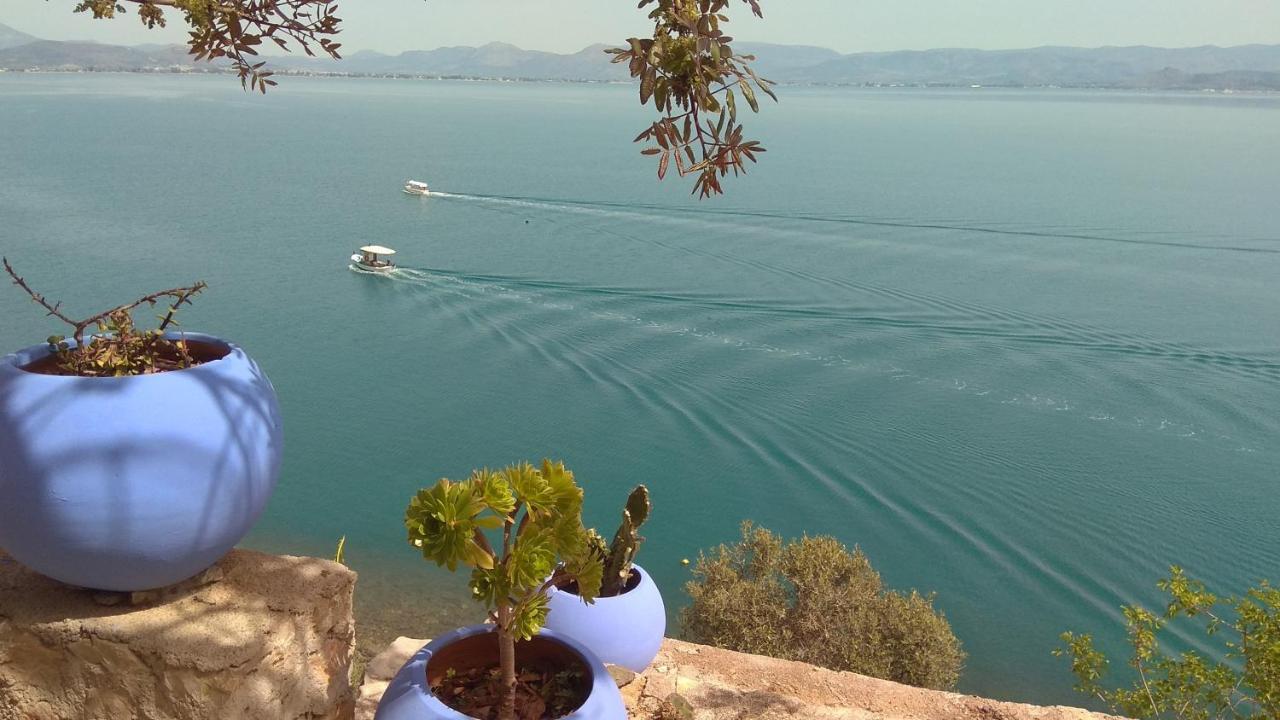 Linamare Eolos كيفيريون المظهر الخارجي الصورة