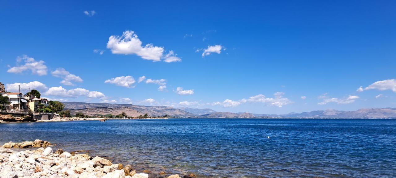 Linamare Eolos كيفيريون المظهر الخارجي الصورة