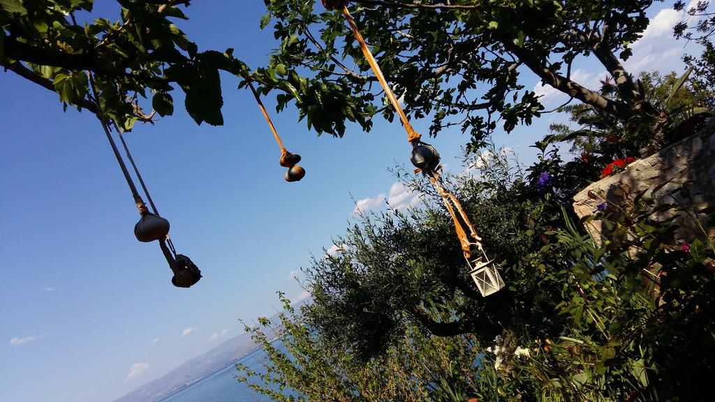 Linamare Eolos كيفيريون المظهر الخارجي الصورة