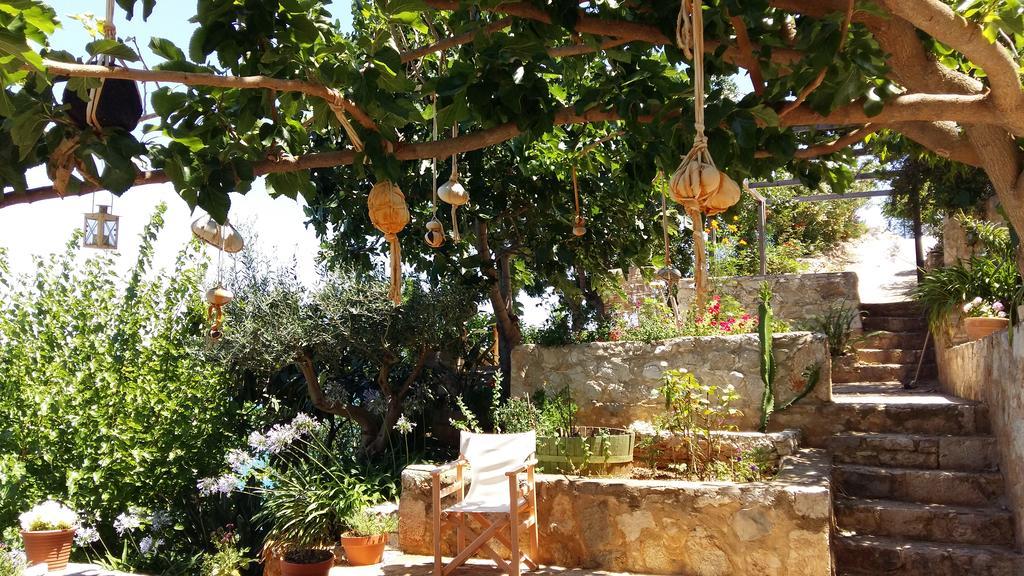 Linamare Eolos كيفيريون المظهر الخارجي الصورة