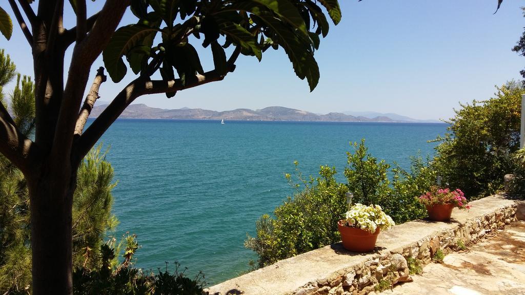 Linamare Eolos كيفيريون المظهر الخارجي الصورة