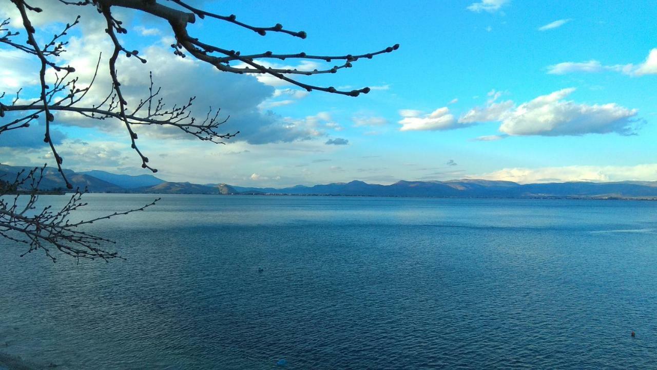 Linamare Eolos كيفيريون المظهر الخارجي الصورة
