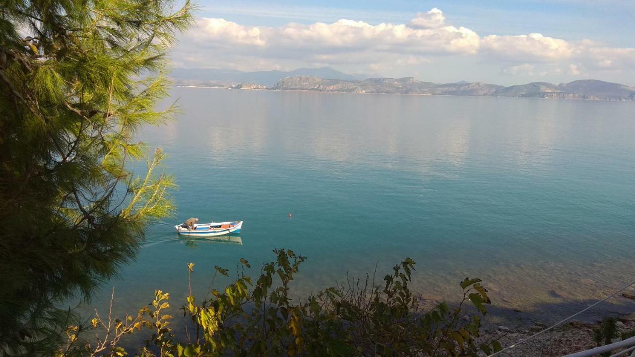 Linamare Eolos كيفيريون المظهر الخارجي الصورة