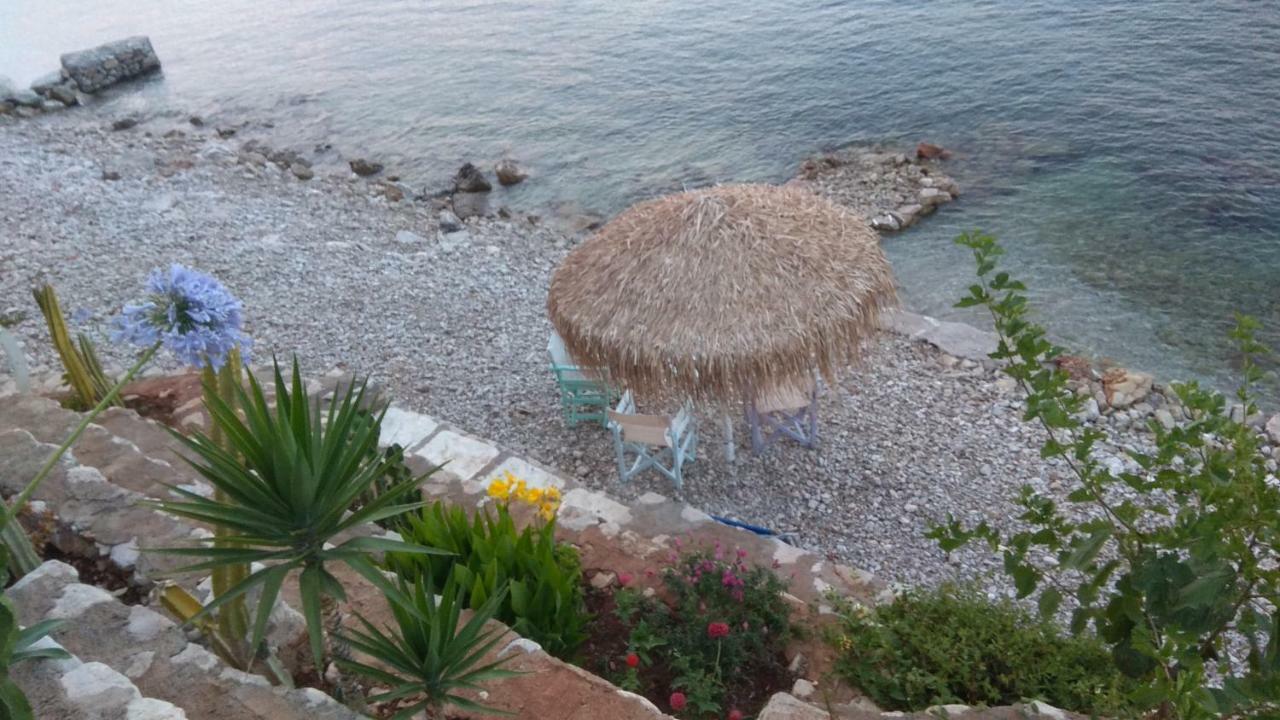 Linamare Eolos كيفيريون المظهر الخارجي الصورة